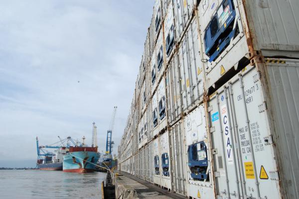 Complexo do Itajaí é líder nacional em operações com cargas reefer