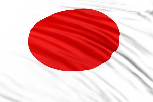 Técnicos japoneses realizam visitas ao Complexo do Itajaí 