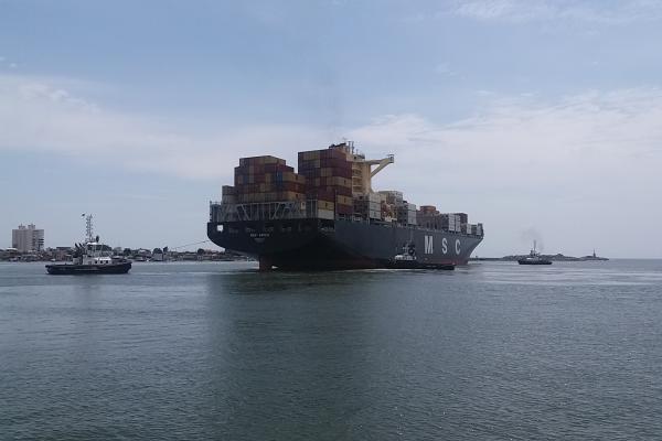 Os gigantes estão chegando!