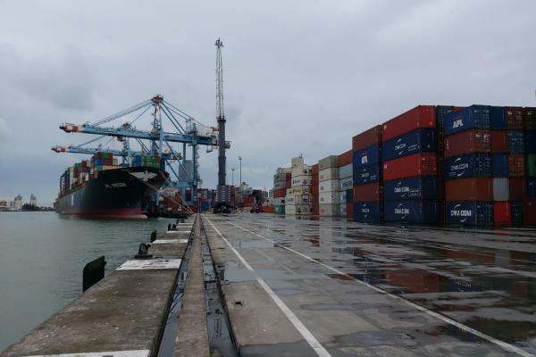 Complexo Portuário de Itajaí e Navegantes registra crescimento de 34% durante o mês de julho