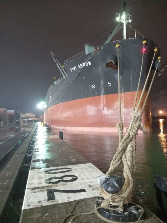 Porto de Itajaí opera com carga geral em Big Bags.