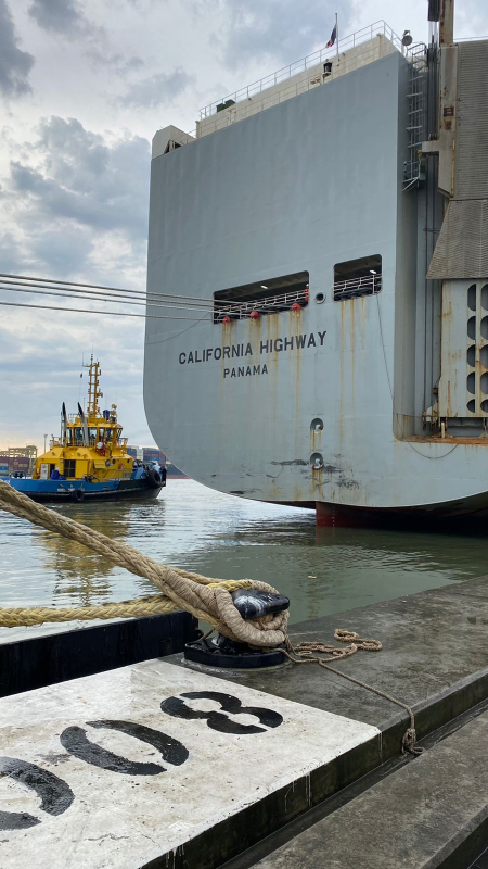 Porto de Itajaí recebe sua quarta atracação de navio Roll on Roll off