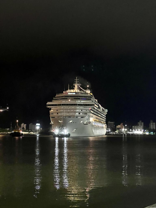Porto de Itajaí registra operação inédita com navio de cruzeiro